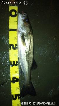 �����Х�