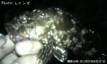 ������������