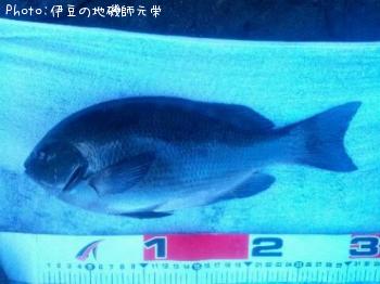 ¸ýÂÀ¥á¥¸¥Ê