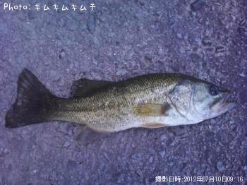 �֥�å��Х�