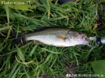 �֥�å��Х�