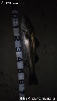 �����Х�