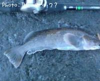 �����ʥ�