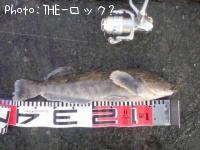 �����ʥ�