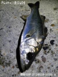 �����Х�