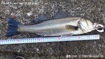 �����Х�