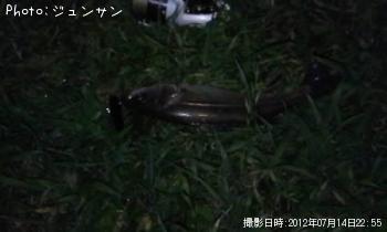 �����Х�