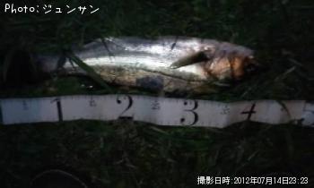 �����Х�