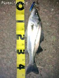 �����Х�