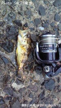 ¥¿¥±¥Î¥³¥á¥Ð¥ë