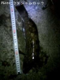 �����ʥ�