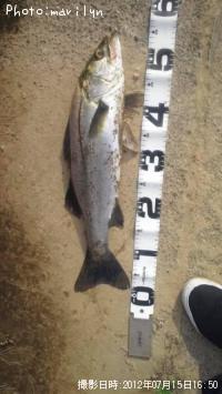 �����Х�