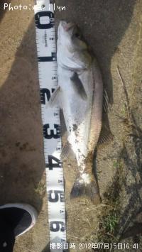 �����Х�