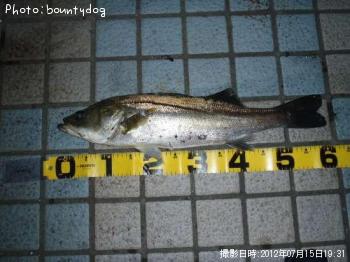 �����Х�