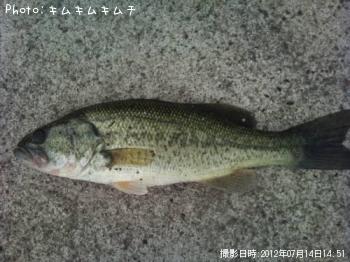 ¥Ö¥é¥Ã¥¯¥Ð¥¹