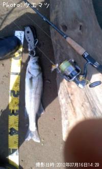 �����Х�