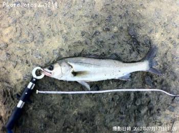 �����Х�