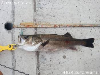 �����Х�