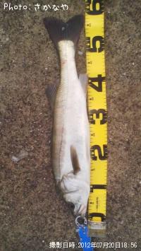 �����Х�