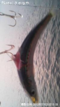 �����Х�