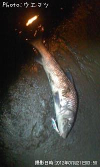 �����ˡ����