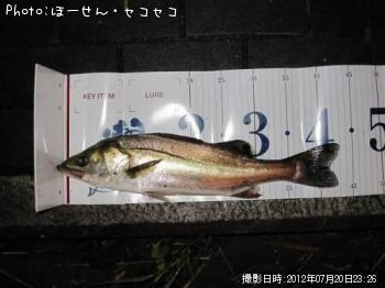 �����Х�