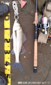 �����Х�