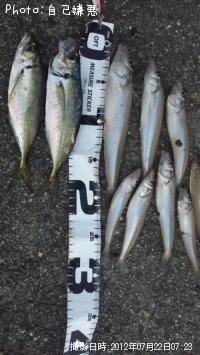 ��������������