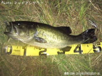 �֥�å��Х�