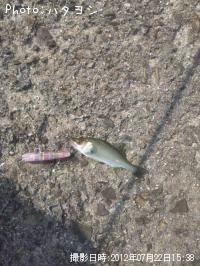 �����Х�