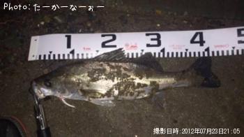 �����Х�