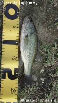 ¥Ö¥é¥Ã¥¯¥Ð¥¹