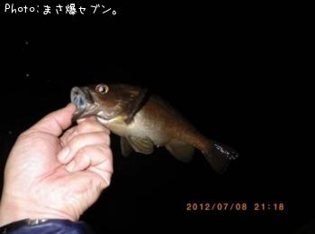 ¥¨¥¾¥á¥Ð¥ë