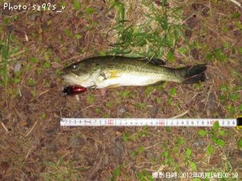 ¥Ö¥é¥Ã¥¯¥Ð¥¹