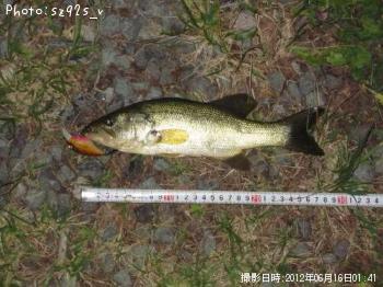 �֥�å��Х�