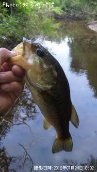 ¥Ö¥é¥Ã¥¯¥Ð¥¹