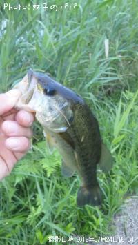 �֥�å��Х�