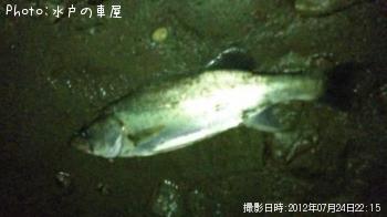 �����Х�