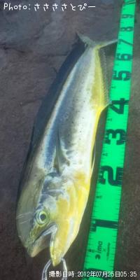 ����������ޥ�