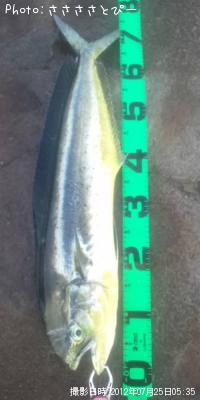 ����������ޥ�