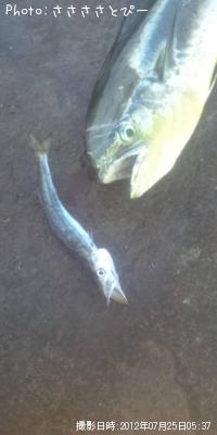 ����������ޥ�