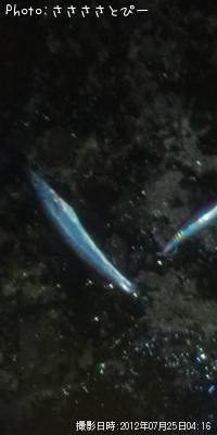 ����������ޥ�