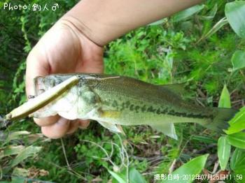 �顼���ޥ����Х�