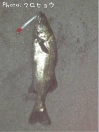 �����Х�