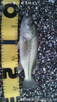 ¥Ö¥é¥Ã¥¯¥Ð¥¹