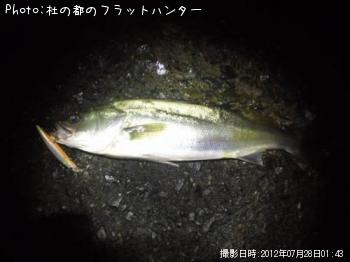 �����Х�