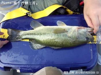 ¥Ö¥é¥Ã¥¯¥Ð¥¹¡¡