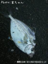 �ҥ��饮��