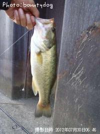 ¥Ö¥é¥Ã¥¯¥Ð¥¹