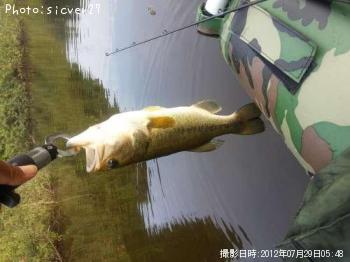 �֥�å��Х�